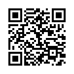 BFC236951333 QRCode