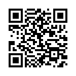 BFC237028333 QRCode