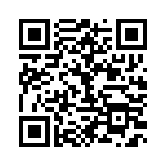 BFC237041333 QRCode