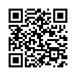 BFC238021333 QRCode