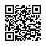 BFC238042153 QRCode