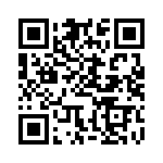 BFC238045333 QRCode