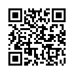 BFC238304204 QRCode