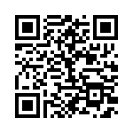 BFC238330133 QRCode