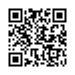BFC238331363 QRCode