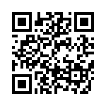 BFC238353133 QRCode