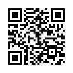 BFC238553333 QRCode