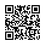 BFC241601304 QRCode