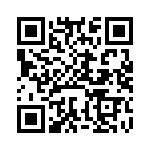 BFC241663004 QRCode