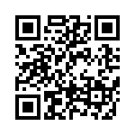 BFC242061304 QRCode