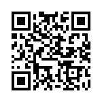 BFC246704563 QRCode