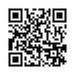 BFC246719333 QRCode