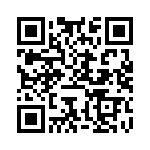 BFC246729563 QRCode