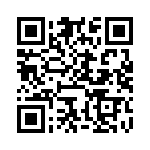 BFC246741333 QRCode