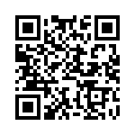 BFC247954563 QRCode