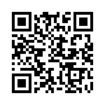 BFC247990038 QRCode