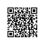 BKT-119-01-L-V-S QRCode