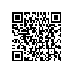 BKT-123-01-F-V-A-P QRCode