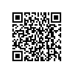 BKT-129-01-L-V-S-P QRCode