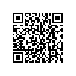 BKT-131-01-L-V-S QRCode