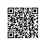 BKT-131-04-F-V-S-A-P QRCode