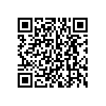 BKT-133-01-F-V-S-A-P QRCode