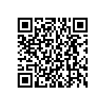 BKT-137-01-L-V-S-A-P QRCode