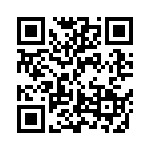 BKT-137-01-L-V QRCode