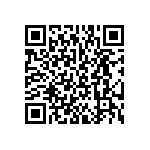 BKT-137-04-L-V-S QRCode