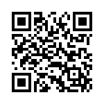 BKT-151-04-L-V QRCode