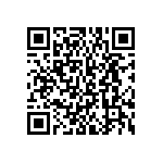 BKT-153-01-L-V-S-A-P QRCode