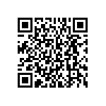 BKT-153-01-L-V-S-A QRCode