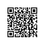 BKT-153-01-L-V-S QRCode