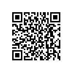 BKT-155-04-F-V-S QRCode