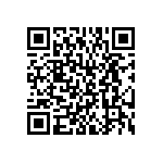 BKT-161-01-L-V-S QRCode