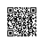 BKT-161-02-L-V-S-P QRCode