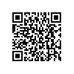 BKT-161-02-L-V-S QRCode