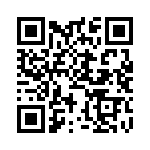 BKT-161-02-L-V QRCode