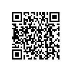 BKT-161-04-F-V-S-A QRCode