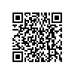 BKT-161-04-L-V-S-A-P QRCode