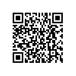 BKT-161-04-L-V-S-A QRCode