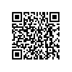 BKT-161-04-L-V-S-P QRCode