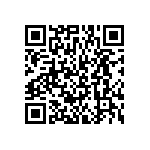 BKT-163-01-L-V-P-TR QRCode