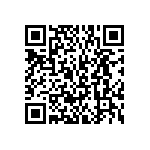 BKT-163-01-L-V-S-P-TR QRCode