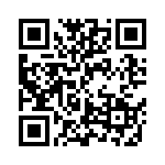 BKT-163-02-L-V QRCode