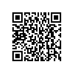 BKT-163-03-L-V-S QRCode