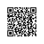 BKT-163-04-F-V-P QRCode