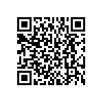 BKT-163-04-L-V-P QRCode