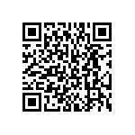 BKT-163-04-L-V-S QRCode