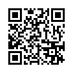 BKT-163-05-L-V QRCode